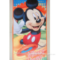 Hot selling microfiber cartoon characters children bath towel